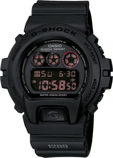 DW6900MS-1 Casio Gshock