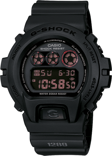 DW6900MS-1   Casio Gshock